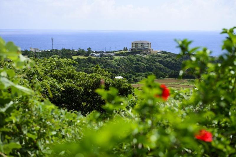Yakushima Iwasaki Hotel מראה חיצוני תמונה